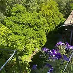 Vasilion Agrotourism Holiday home *