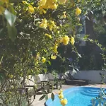 Vasilion Agrotourism Holiday home