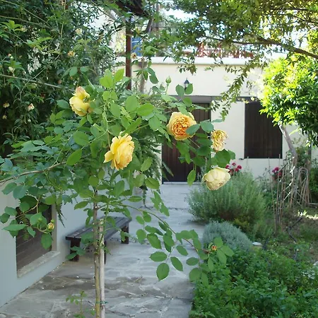 Vasilion Agrotourism * Полис