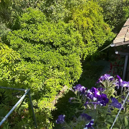 Vasilion Agrotourism Prázdninový dům *