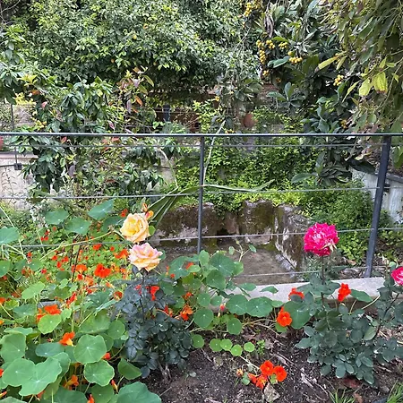 Vasilion Agrotourism Polis