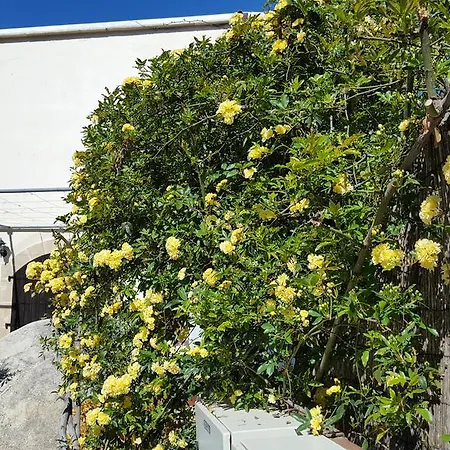 Vasilion Agrotourism *