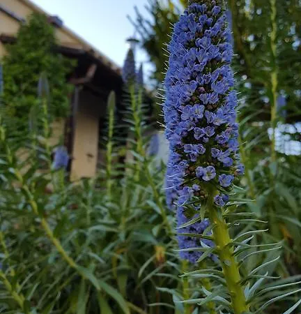 Vasilion Agrotourism Prázdninový dům *