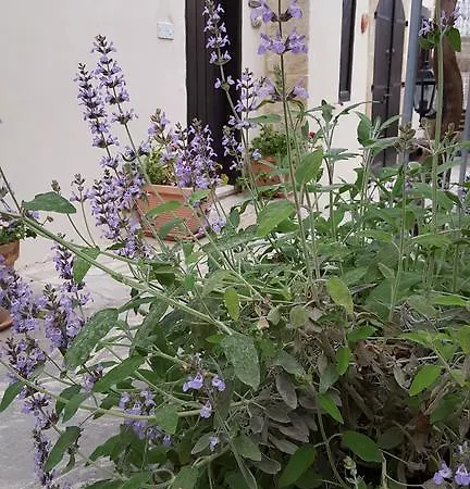 Vasilion Agrotourism Prázdninový dům