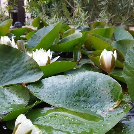 Σπίτι διακοπών Vasilion Agrotourism Πόλη