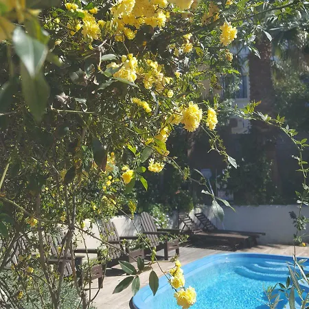 Vasilion Agrotourism Feriehus