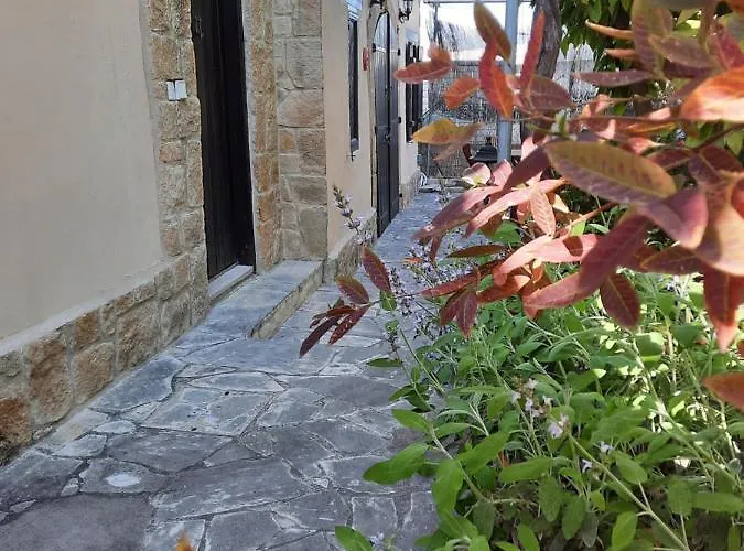Casa vacanze Vasilion Agrotourism Polis