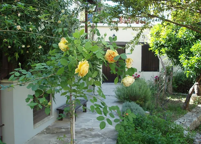 Vasilion Agrotourism * Polis