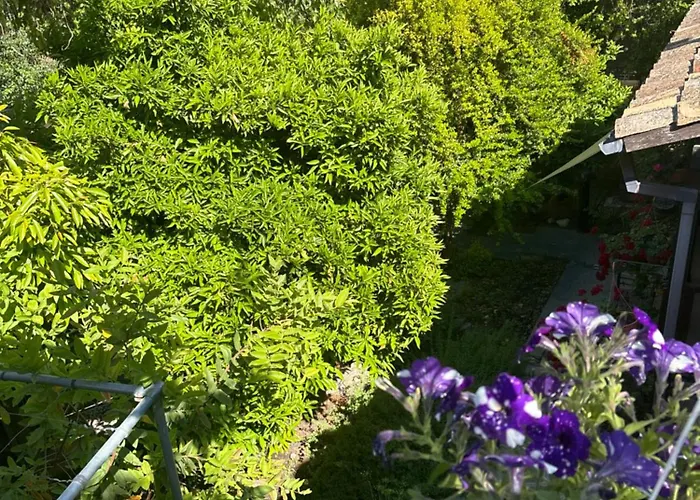 Vasilion Agrotourism 度假居 *