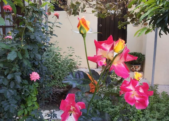 Vasilion Agrotourism * Polis