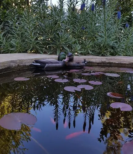 Vasilion Agrotourism Casa vacanze Polis