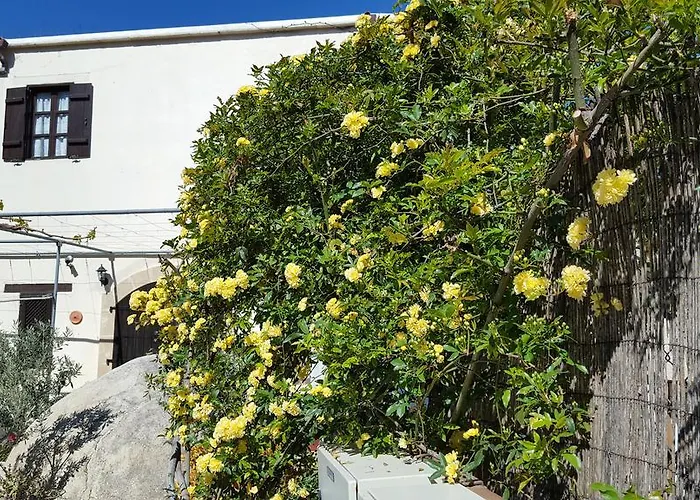 Vasilion Agrotourism *