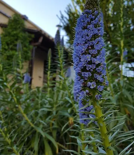 Vasilion Agrotourism Casa vacanze *