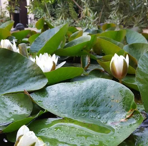 Casa vacanze Vasilion Agrotourism Polis