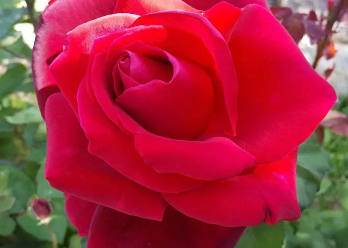 Casa vacanze Vasilion Agrotourism