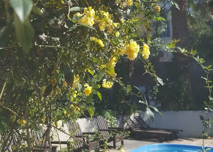 Vasilion Agrotourism Casa vacanze